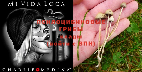 спайс Абдулино